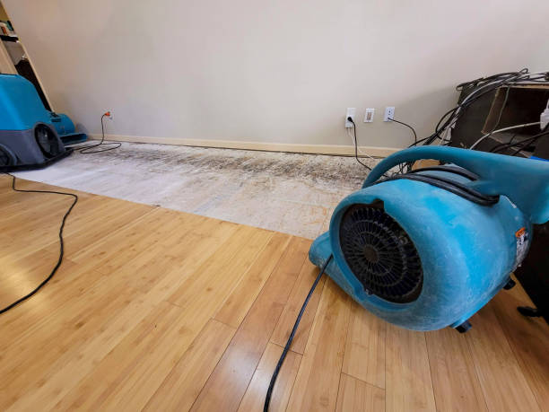 Professional Water Removal technician working in Brillion, WI